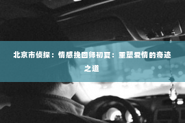 北京市侦探：情感挽回师初夏：重塑爱情的奇迹之道