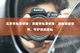 北京市私家侦探：海西市私家侦探：揭秘隐秘世界，守护你的隐私