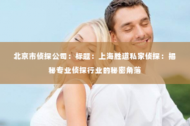 北京市侦探公司：标题：上海胜道私家侦探：揭秘专业侦探行业的秘密角落