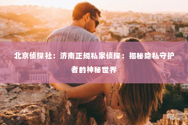 北京侦探社：济南正规私家侦探：揭秘隐私守护者的神秘世界