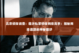 北京侦探调查：临沂私家侦探网络高手：揭秘网络追踪的神秘面纱
