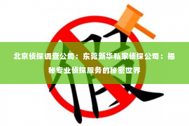 北京侦探调查公司：东莞新华私家侦探公司：揭秘专业侦探服务的秘密世界