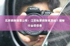 北京侦探调查公司：江苏私家侦探哪家强？揭秘行业佼佼者