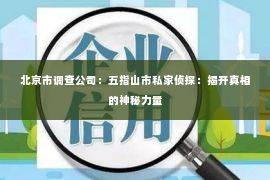 北京市调查公司：五指山市私家侦探：揭开真相的神秘力量