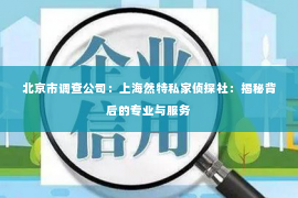 北京市调查公司：上海然特私家侦探社：揭秘背后的专业与服务