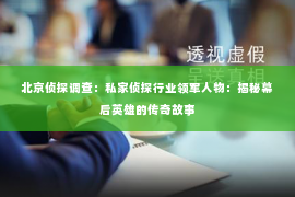 北京侦探调查：私家侦探行业领军人物：揭秘幕后英雄的传奇故事