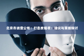 北京市调查公司：打击反催收：建议与策略探讨