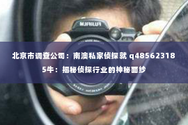 北京市调查公司：南澳私家侦探就 q485623185牛：揭秘侦探行业的神秘面纱
