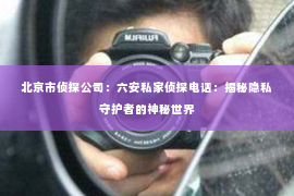 北京市侦探公司：六安私家侦探电话：揭秘隐私守护者的神秘世界