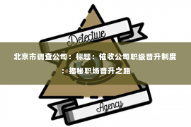 北京市调查公司：标题：催收公司职级晋升制度：揭秘职场晋升之路