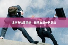 北京市私家侦探：催收业绩分析总结