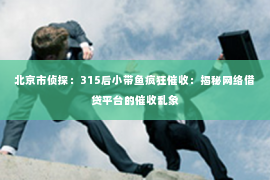 北京市侦探：315后小带鱼疯狂催收：揭秘网络借贷平台的催收乱象