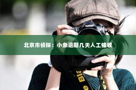 北京市侦探：小象逾期几天人工催收