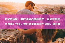 北京市侦探：催收说侵占国有资产，这究竟是怎么回事？今天，我们就来聊聊这个话题，揭开其中的真相。