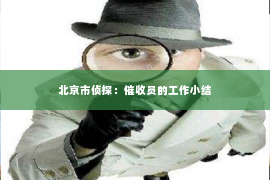 北京市侦探：催收员的工作小结