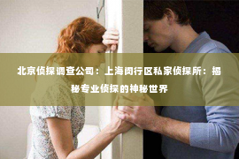 北京侦探调查公司：上海闵行区私家侦探所：揭秘专业侦探的神秘世界