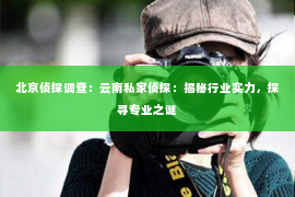 北京侦探调查：云南私家侦探：揭秘行业实力，探寻专业之谜