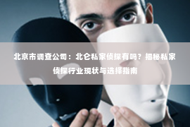 北京市调查公司：北仑私家侦探有吗？揭秘私家侦探行业现状与选择指南