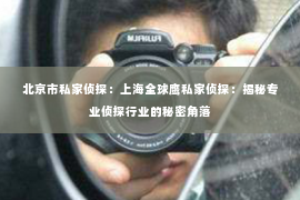 北京市私家侦探：上海全球鹰私家侦探：揭秘专业侦探行业的秘密角落