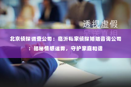 北京侦探调查公司：临沂私家侦探婚姻咨询公司：揭秘情感迷雾，守护家庭和谐
