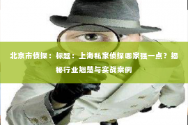 北京市侦探：标题：上海私家侦探哪家强一点？揭秘行业翘楚与实战案例