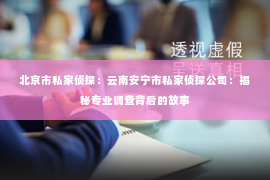 北京市私家侦探：云南安宁市私家侦探公司：揭秘专业调查背后的故事
