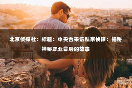 北京侦探社：标题：中央台采访私家侦探：揭秘神秘职业背后的故事