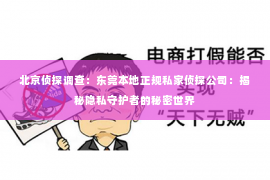 北京侦探调查：东莞本地正规私家侦探公司：揭秘隐私守护者的秘密世界