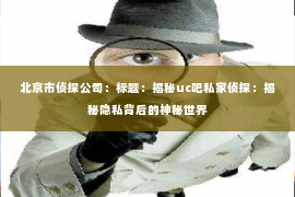 北京市侦探公司：标题：揭秘uc吧私家侦探：揭秘隐私背后的神秘世界