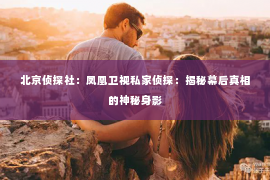 北京侦探社：凤凰卫视私家侦探：揭秘幕后真相的神秘身影