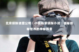 北京侦探调查公司：小偷私家侦探小说：揭秘隐秘世界的神秘线索