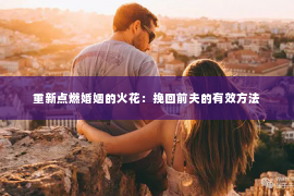 重新点燃婚姻的火花：挽回前夫的有效方法