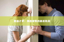 重逢之梦：挽回爱情的最后机会