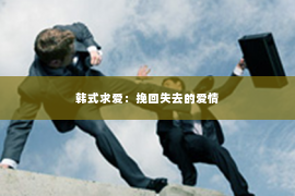 韩式求爱：挽回失去的爱情