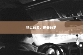 错过的爱，逝去的梦