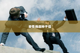 爱情挽回种子信