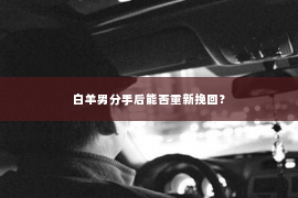 白羊男分手后能否重新挽回？