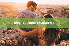 爱意已失，挽回何须情感专家解析