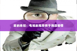 爱的绝招：电视剧推荐用于挽回爱情