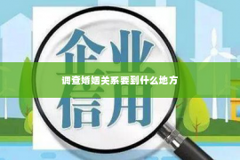 调查婚姻关系要到什么地方