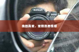 挽回真爱，重燃熟悉情感