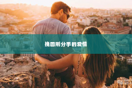 挽回刚分手的爱情
