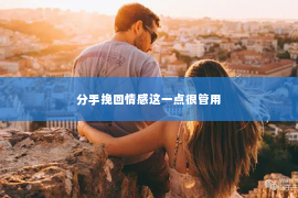 分手挽回情感这一点很管用