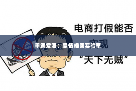 重返爱海：爱情挽回实验室