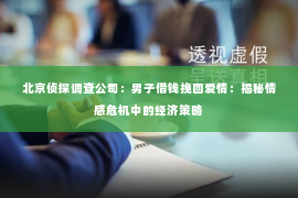 北京侦探调查公司：男子借钱挽回爱情：揭秘情感危机中的经济策略