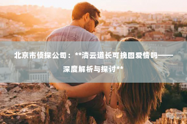 北京市侦探公司：**清云道长可挽回爱情吗——深度解析与探讨**