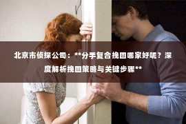 北京市侦探公司：**分手复合挽回哪家好呢？深度解析挽回策略与关键步骤**