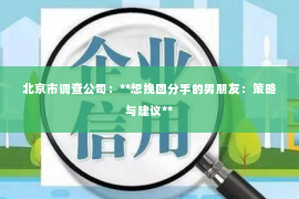 北京市调查公司：**想挽回分手的男朋友：策略与建议**