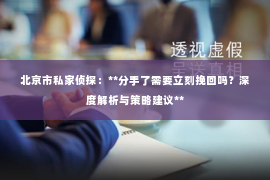 北京市私家侦探：**分手了需要立刻挽回吗？深度解析与策略建议**