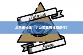 北京市侦探：小公司能否挽回爱情？